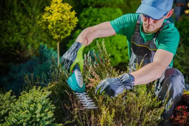landscaping services Gautier